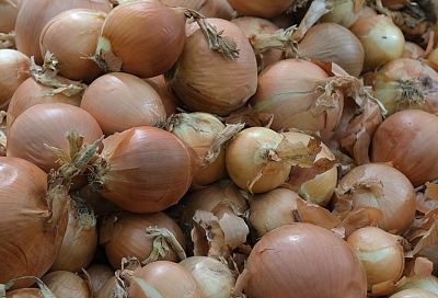 Более 700 тысяч тонн овощей ввезли в Россию через Краснодарский край из Египта, Турции и Израиля