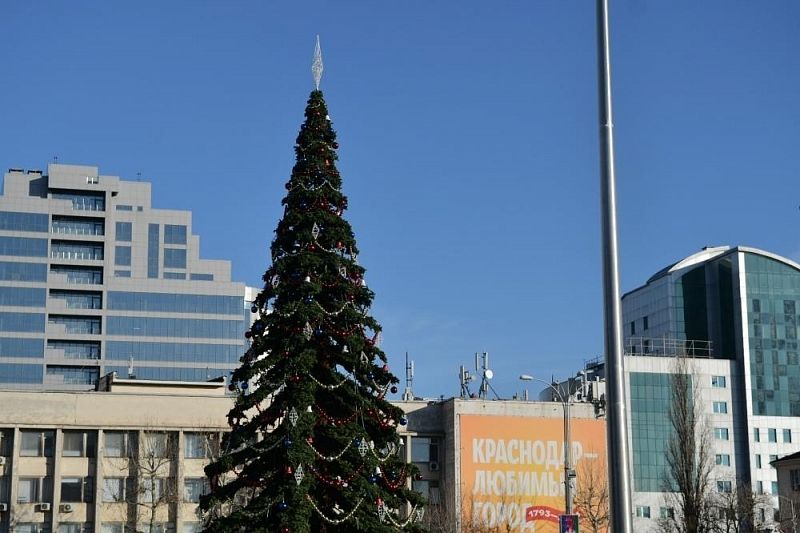 Новый год близко: главную городскую елку украсили в Краснодаре