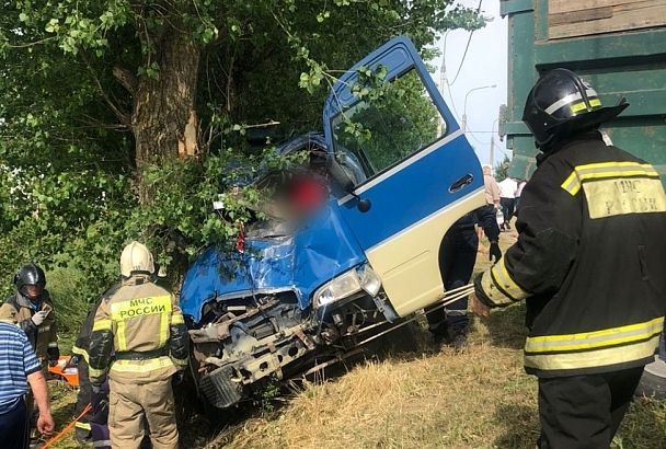 В минздраве уточнили число пострадавших при столкновении микроавтобуса с деревом на Кубани