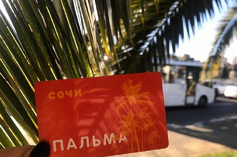 В Сочи подорожает проезд в автобусах и появятся транспортные карты