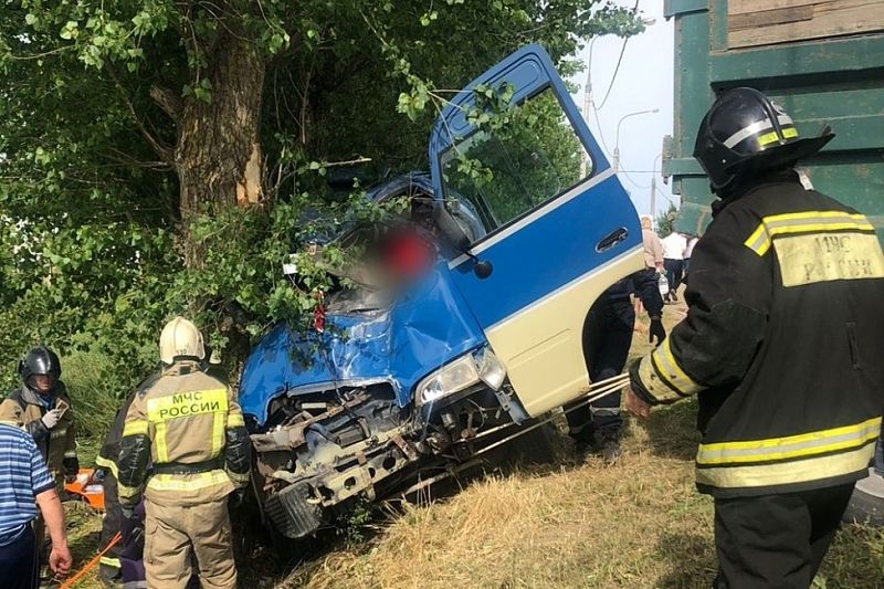 В минздраве уточнили число пострадавших при столкновении микроавтобуса с деревом на Кубани