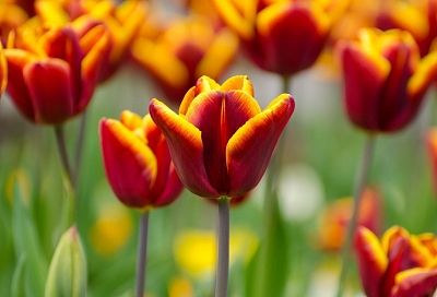 Народные приметы на сегодня – 20 апреля, что можно и нельзя делать в Акулинин день