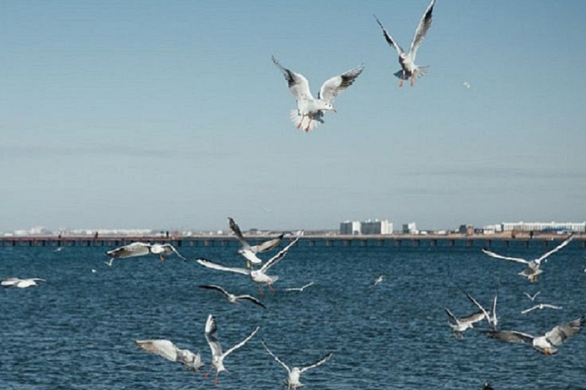 Синоптики назвали курорты Кубани, где не успела остыть вода в Черном море