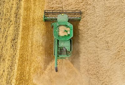 В Краснодарском крае собрали первый миллион тонн пшеницы   