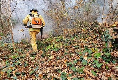 В Сочи локализованы все три лесных пожара