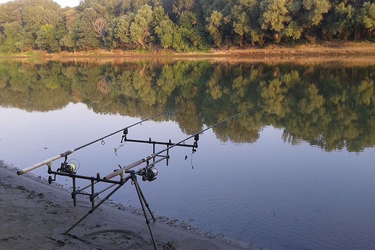 Какие бойлы для рыбалки купить: 3 убийственные насадки на карпа и сазана — чуют за версту