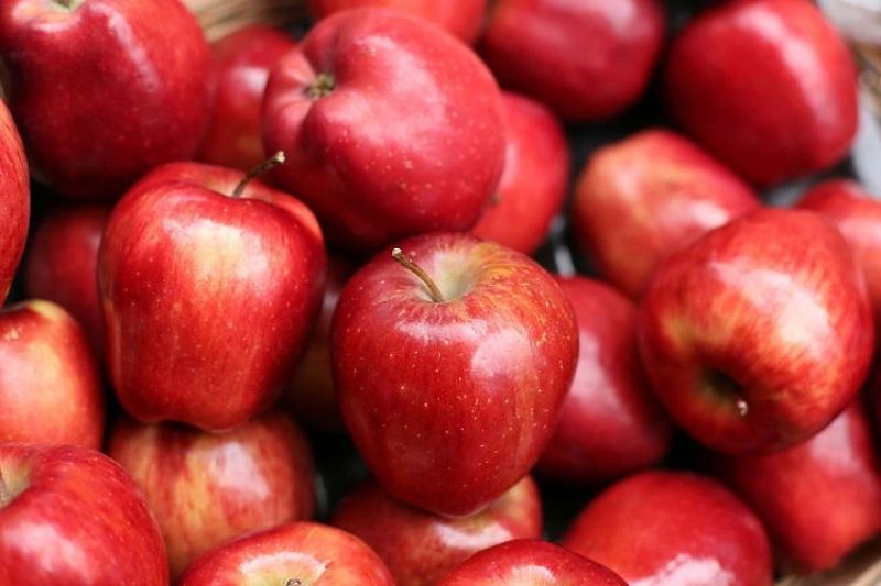 «Росконтроль» обнаружил пестициды в яблоках из Адыгеи