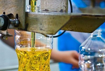 Предприятия на Кубани оптимизировали процессы благодаря нацпроекту