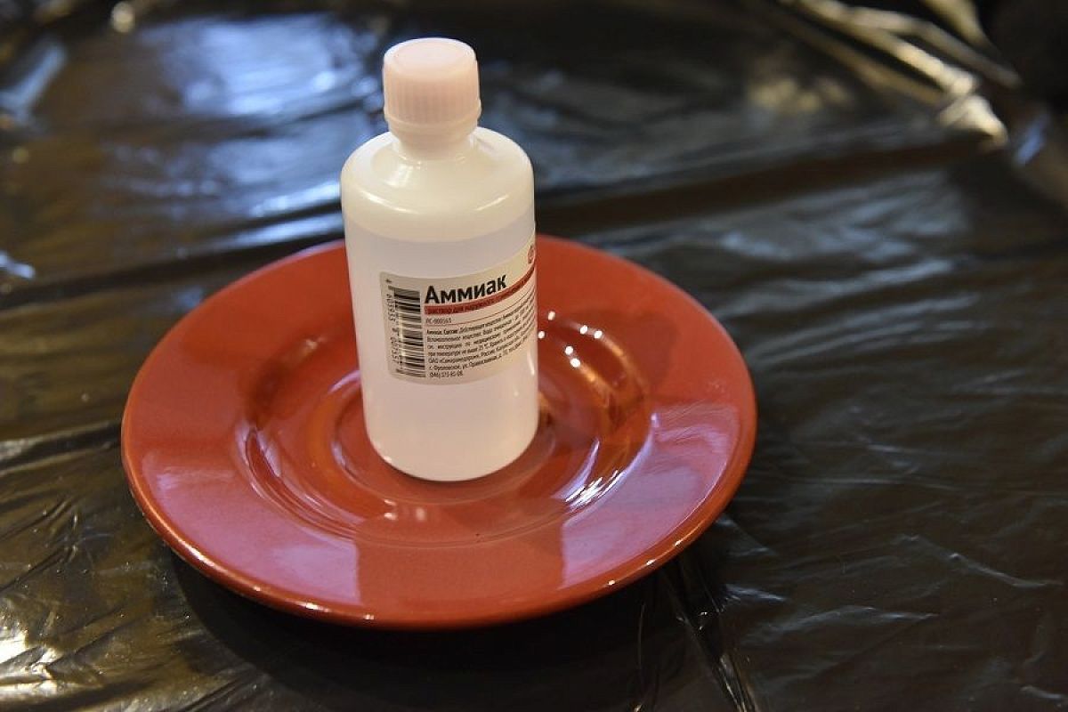 Нашатырь от медведки: очень эффективно, если знать весь бабушкин рецепт