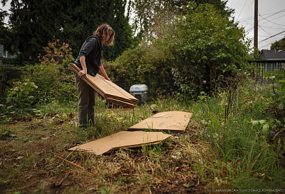 Как превратить заросший участок в ленивый огород за один сезон