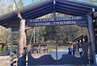 Кавказский заповедник открыл четыре маршрута