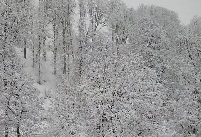 Апрельские сугробы: 14 сантиметров снега выпало в горах под Сочи за ночь