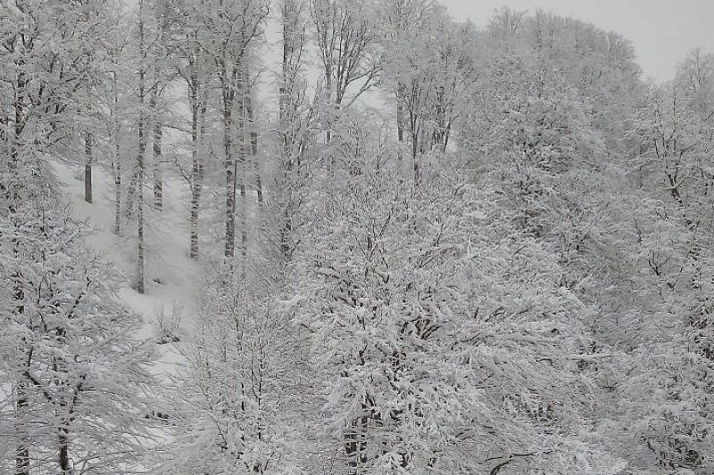 Апрельские сугробы: 14 сантиметров снега выпало в горах под Сочи за ночь