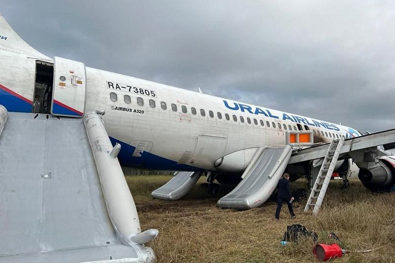 «Все молились»: пассажирка рейса Сочи - Омск рассказала, что происходило на борту во время аварийной посадки
