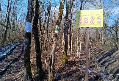 Маршрут по территории памятника природы в Абинском районе станет доступным для маломобильных туристов