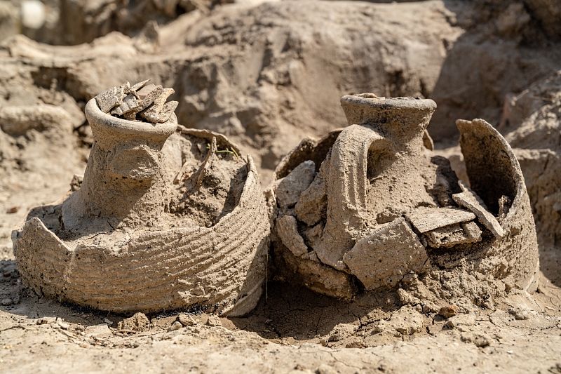 Там древний мир, там тени бродят: ﻿какие загадки древнего города Фанагория удалось разгадать археологам