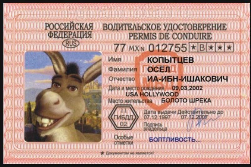 В Новороссийске водительские права выдавались алкоголикам и наркоманам