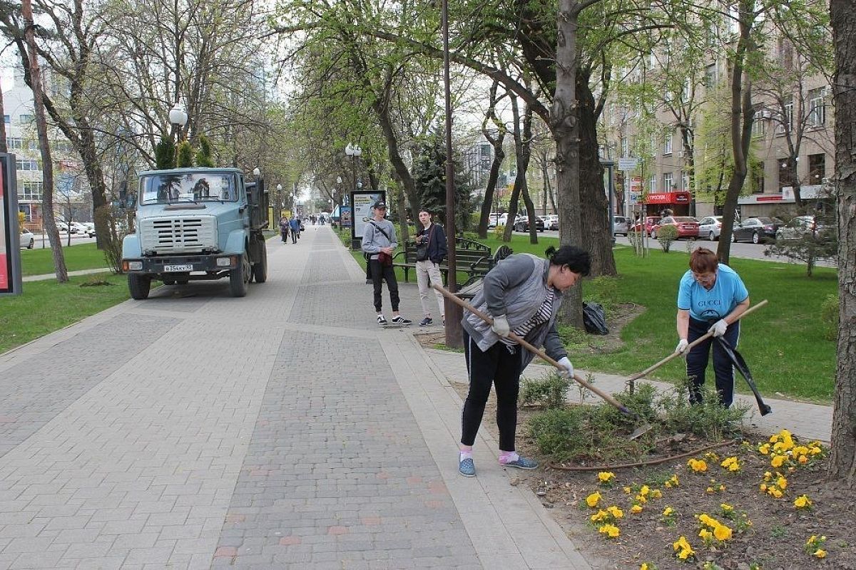 Цветники необычной формы появятся на ул. Красной в Краснодаре