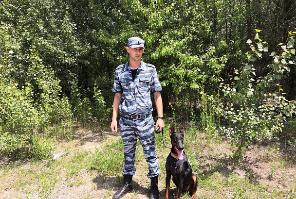 Служебная собака помогла раскрыть кражу в Краснодарском крае 