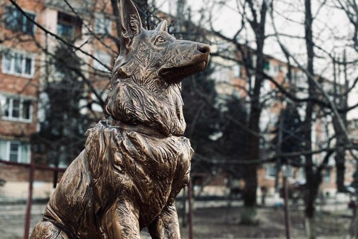 Памятник немецкой овчарке установили в Ейске