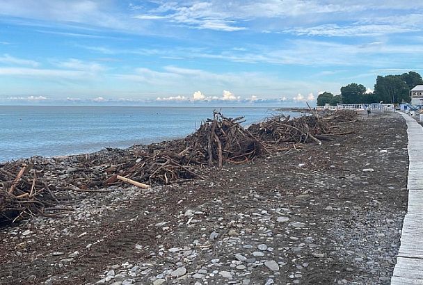 Пляжи в Сочи расчистят к 27 июня