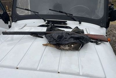 Браконьеров с оружием и добычей задержали в Сочинском нацпарке