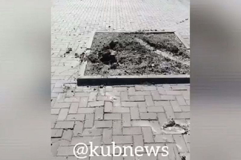 В Крымске у мемориала «Сопка Героев» неизвестные на автомобиле снесли дерево
