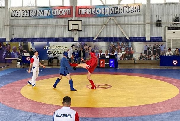 Впервые в истории Кубани краевой чемпионат по боевому самбо состоялся в Гулькевичах 