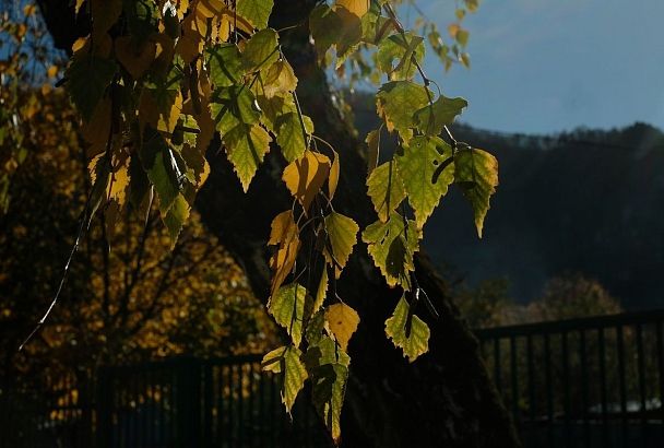 Тепло до +23 градусов еще вернется в Краснодарский край