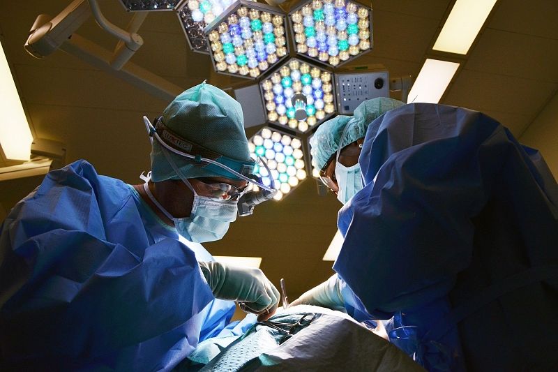 В Сочи врачи сделали первую в мире уникальную операцию на мозге примата