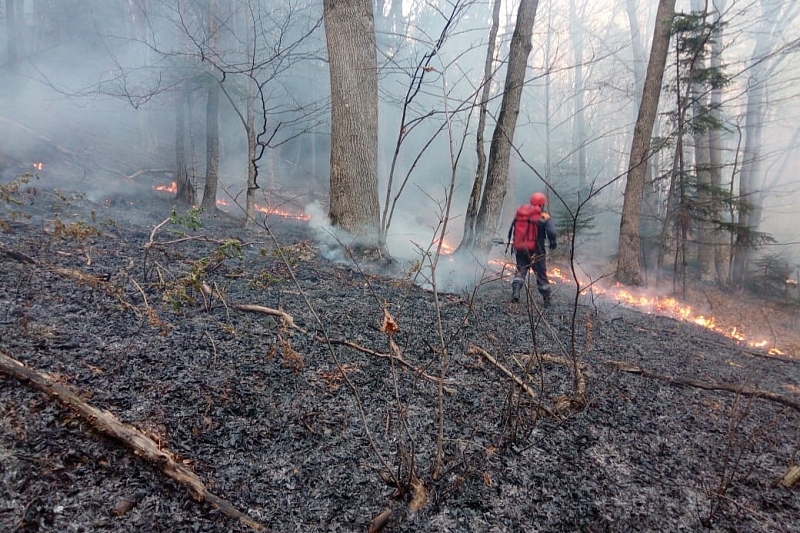 В Краснодарском крае вертолеты тушат два лесных пожара