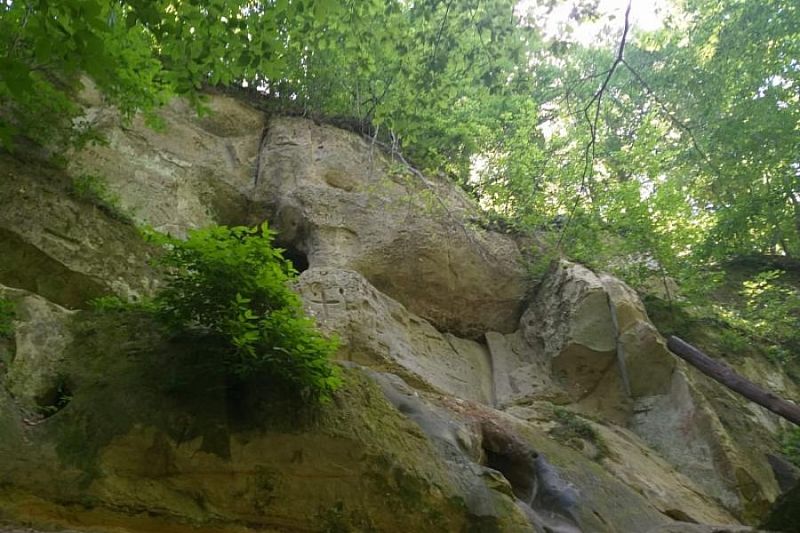 Памятник природы «Богатырские пещеры» благоустроили в Горячем Ключе 