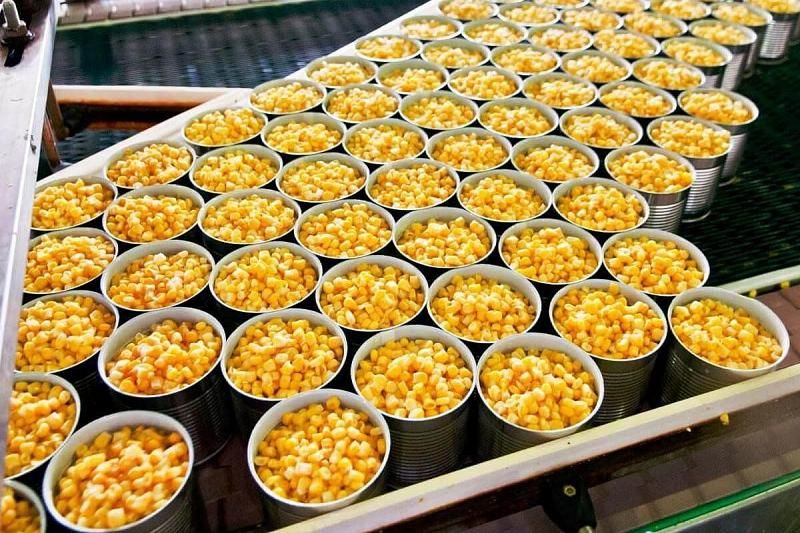 В Краснодарском крае планируется произвести около 200 млн банок консервированной кукурузы