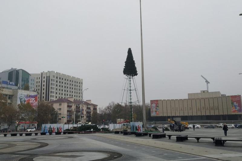 Главная елка Краснодара