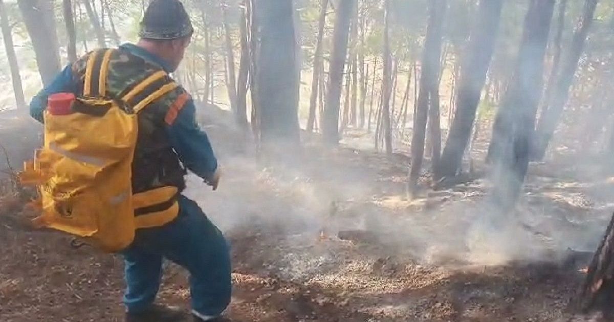 Лесной пожар под Геленджиком потушен