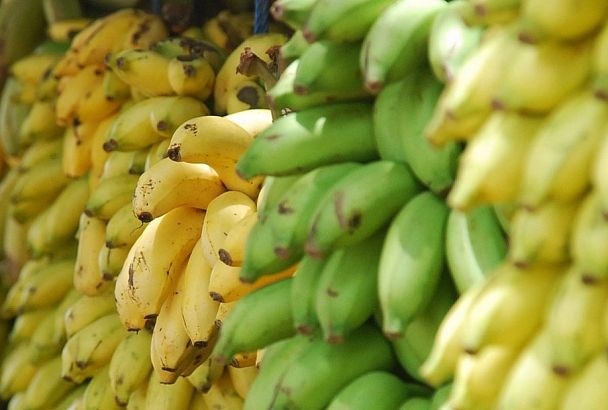 Зеленый, желтый или коричневый: банан какой спелости самый полезный?