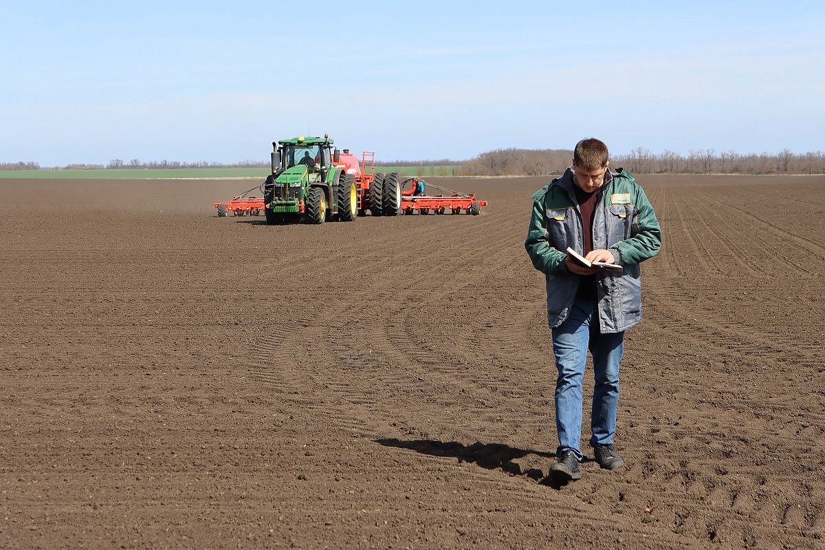  Умное поле: как новые технологии помогают кубанским аграриям увеличивать урожай
