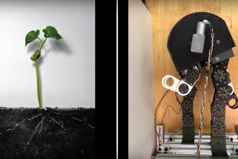 Создали робота, способного протискиваться в узкие щели (видео)