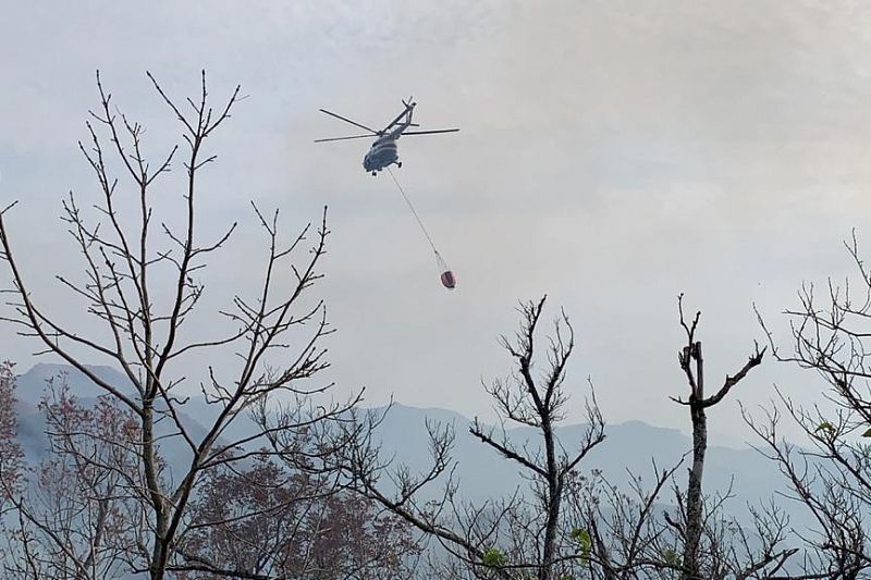 Площадь лесного пожара увеличилась до 11,7 га. К тушению подключился вертолет Ми-8