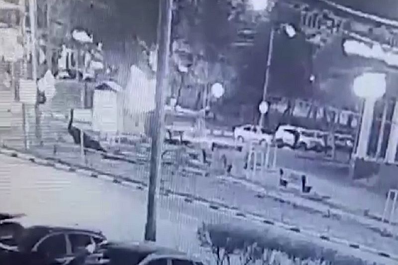 Разбивал стекла, резал шины: в Новороссийске мужчина повредил несколько автомобилей с буквой Z
