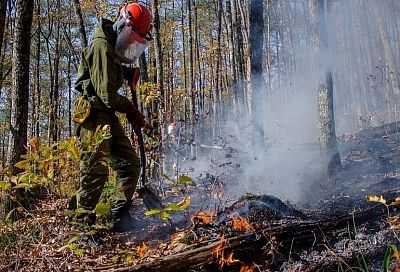 В Краснодарском крае введен повышенный уровень пожарной опасности