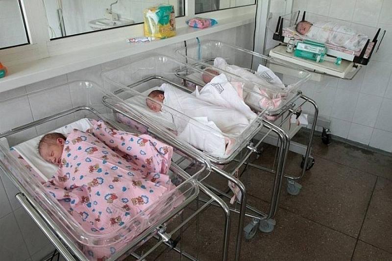 В Краснодарском крае в рамках нацпроекта на выплаты за новорожденных направили 6 млрд рублей