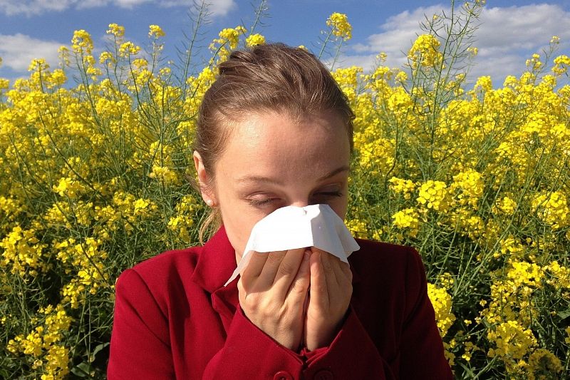 Аллергия: шесть советов, которые помогут вам пережить сезон пыльцы