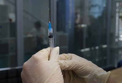 Россельхознадзор приостановил обращение вакцины «Мультикан-8» после гибели собак