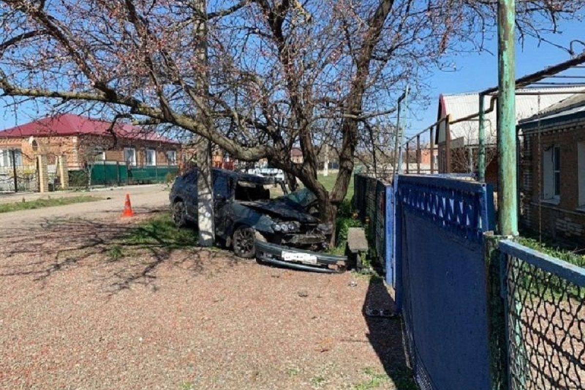 В Краснодарском крае в ДТП пострадал водитель Lada без прав, врезавшись в дерево