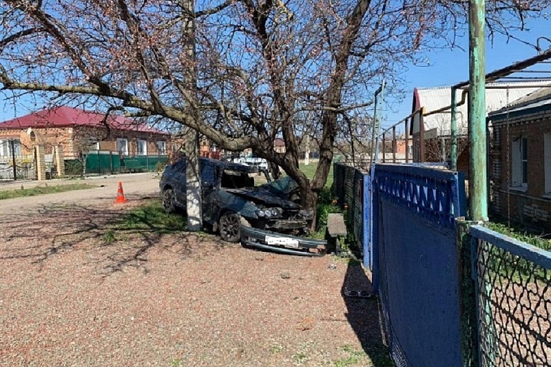 В Краснодарском крае в ДТП пострадал водитель Lada без прав, врезавшись в дерево