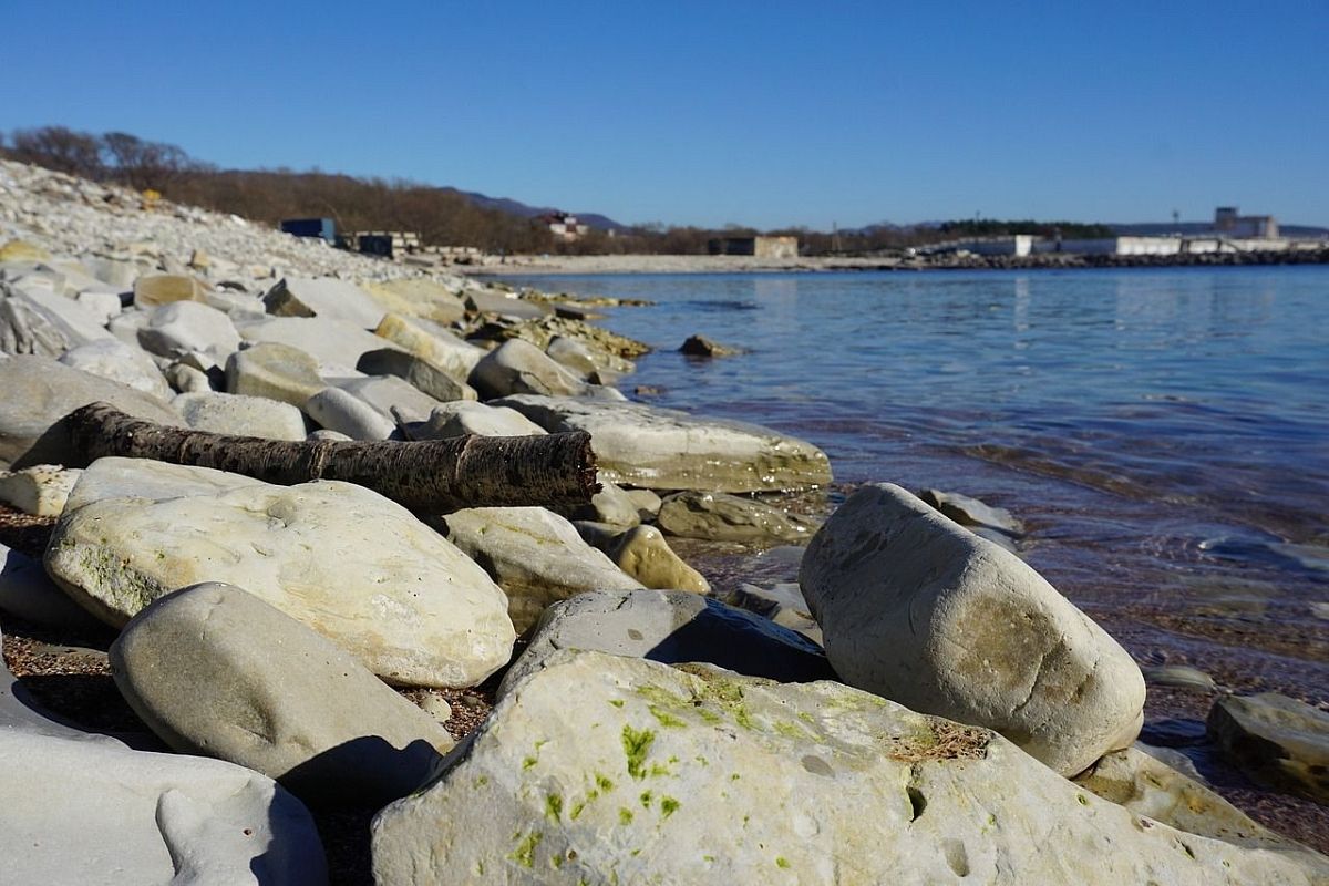 В Геленджике летом в море утонули 12 человек