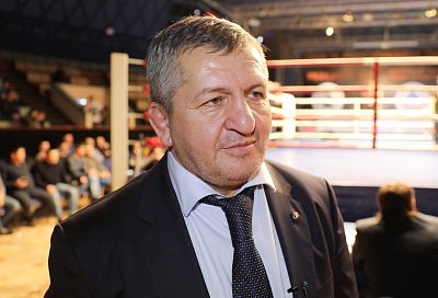 Отец Хабиба Нурмагомедова назвал причину драки после боя UFC