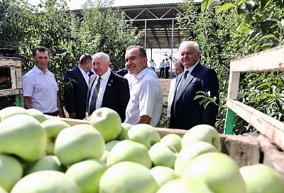 Губернатор Кубани Вениамин Кондратьев посетил фермерское хозяйство в Красноармейском районе