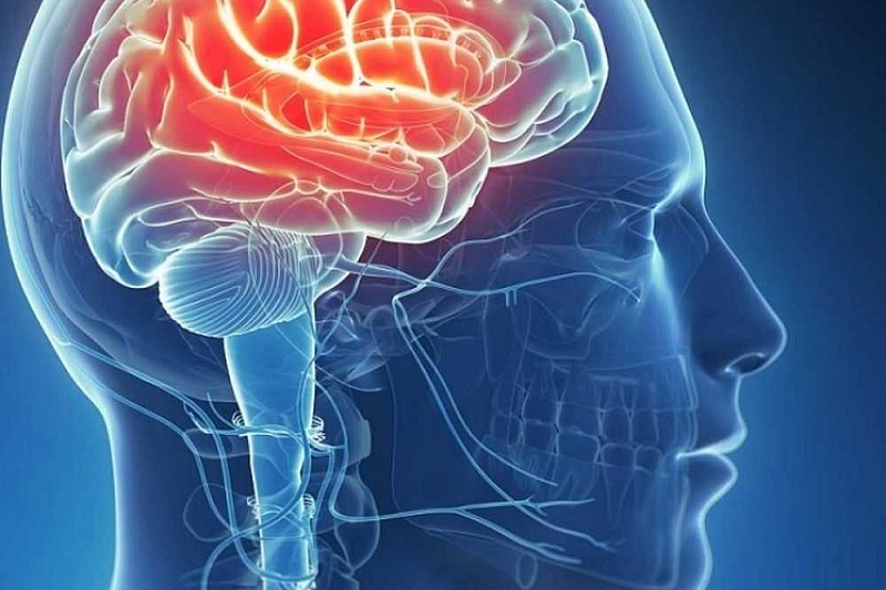 Ученые научили программу предсказывать 99% эпилептических припадков